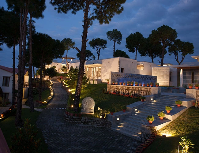 Wedding Planner in Chandigarh